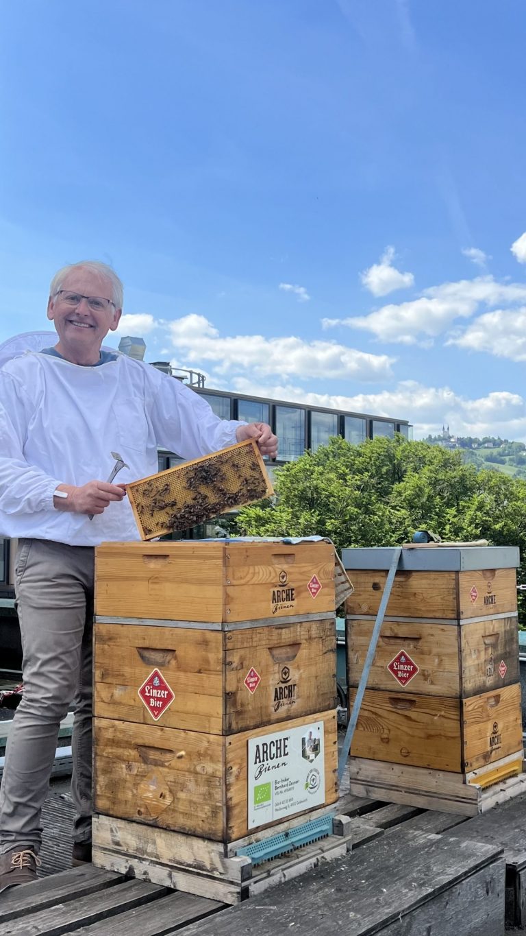 Eine Person mit einer Bienenwabe in der Hand