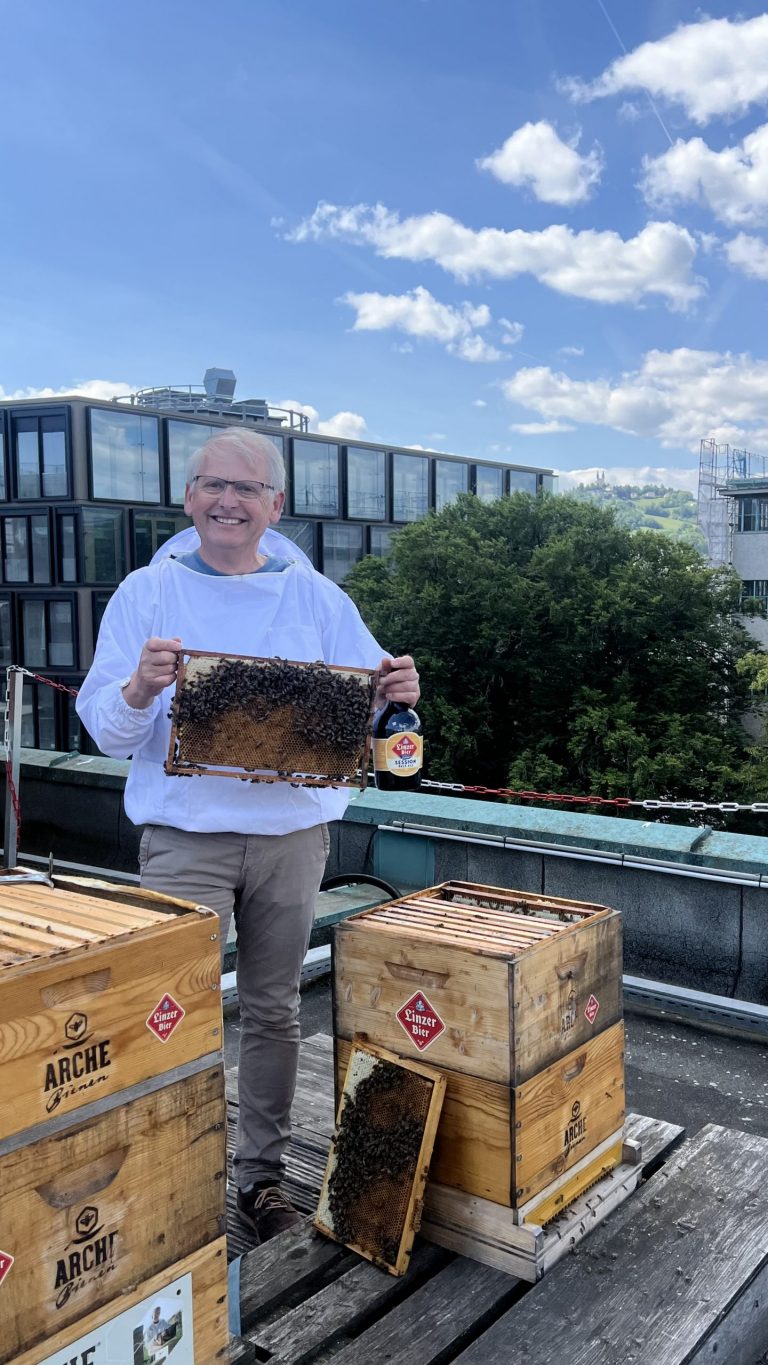 Eine Person mit einer Bienenwabe in der Hand